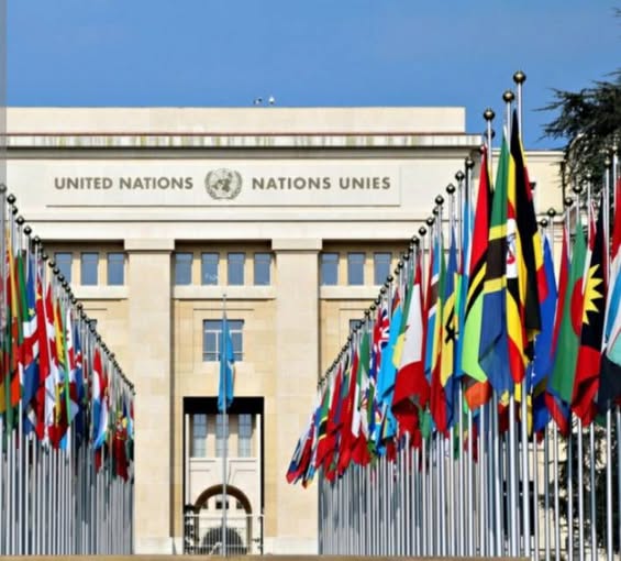 الأمم المتحدة - مجلس حقوق الإنسان... المغرب في طليعة الدبلوماسية المندمجة بقرار حول النساء وحقوق الإنسان